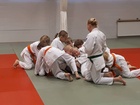 Tatami tömisee lauantaina